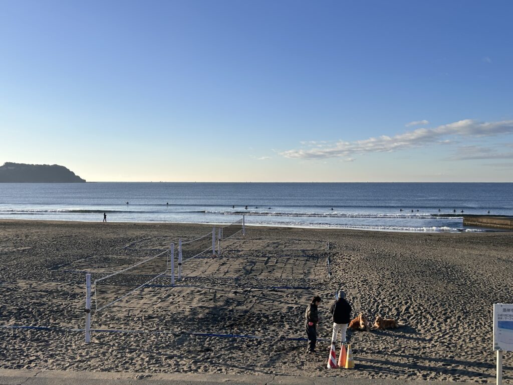 スモールコンディション | T-stick | 湘南 鵠沼海岸サーフショップ